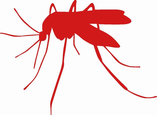 640×　蚊シルエット　赤
